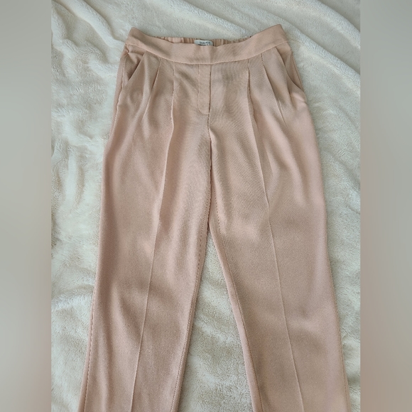 Aritzia Babaton Cohen Pants - Picture 4 of 11
